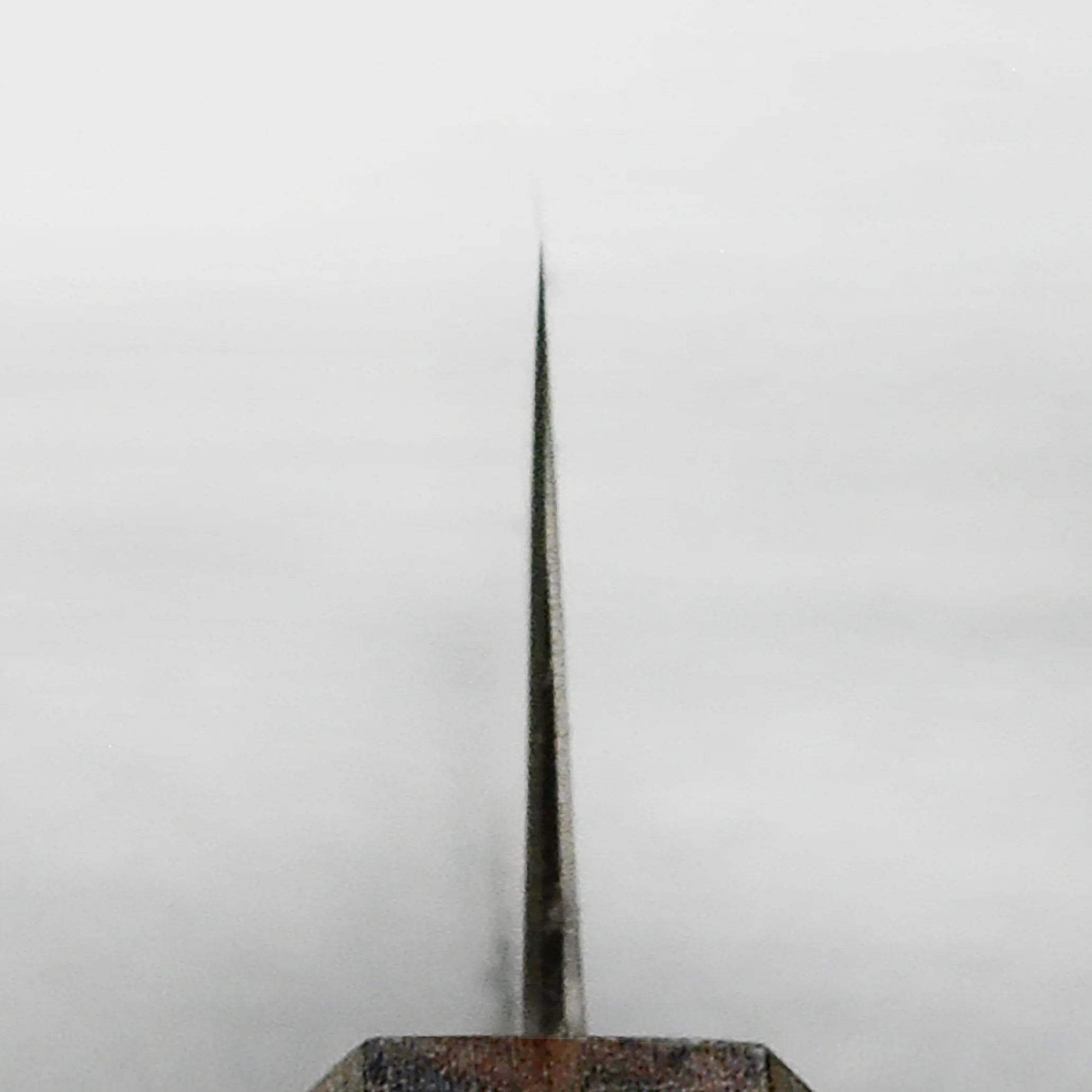 Hatsukokoro Kurokaze Shirogami #2 Kurouchi 7" Gyuto - Image 9