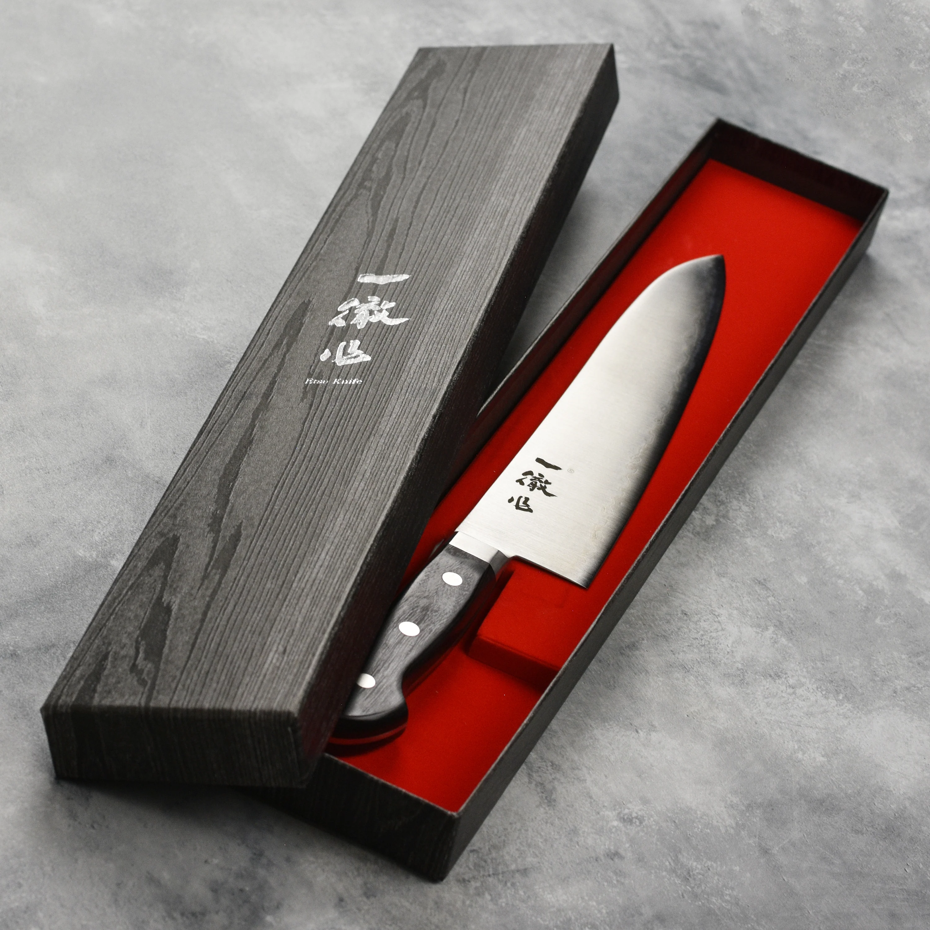 Ittetsu Aogami Super Carbon Steel 9.4" Gyuto - Image 4