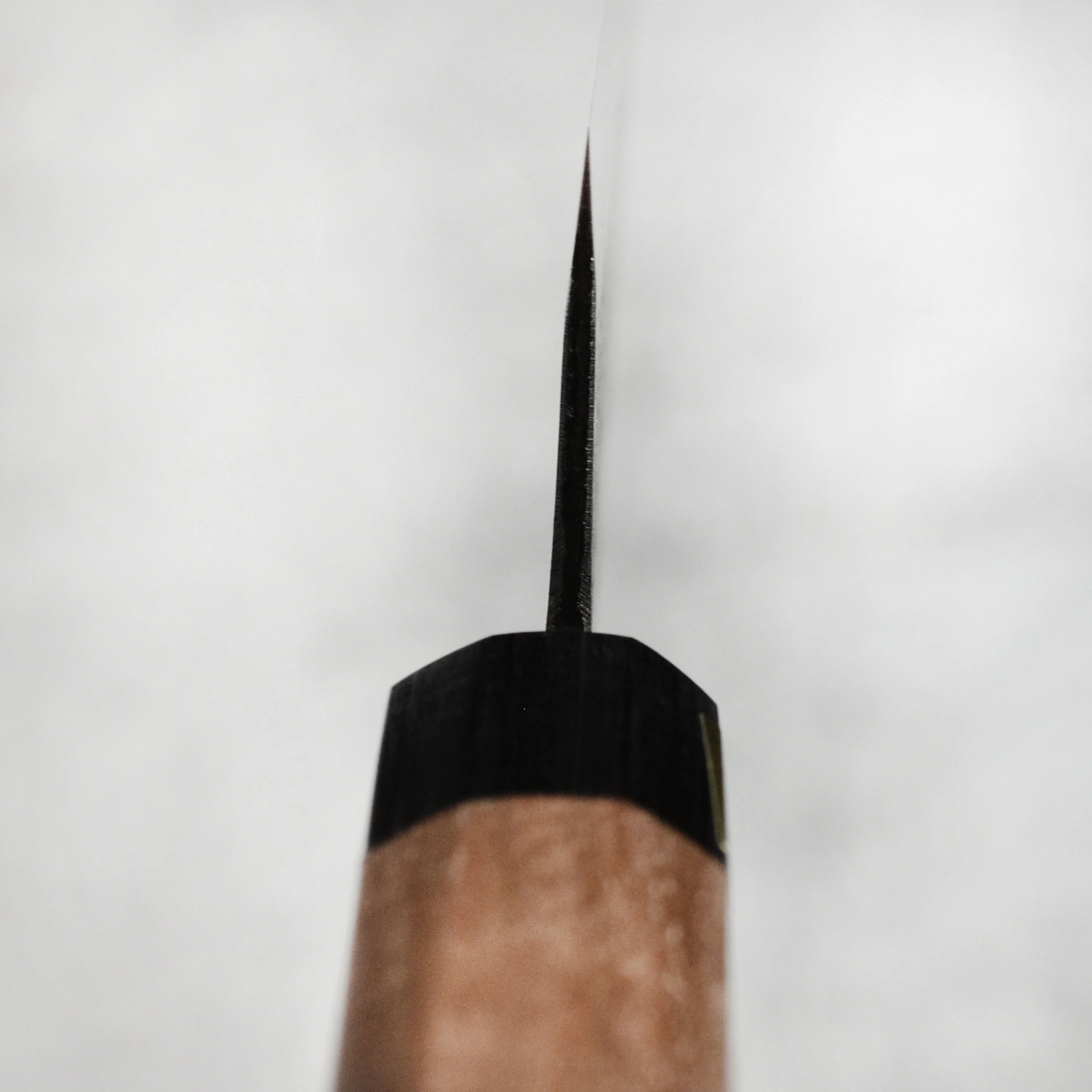 Moritaka 9.4" Aogami Super Carbon Steel Kiritsuke - Image 7