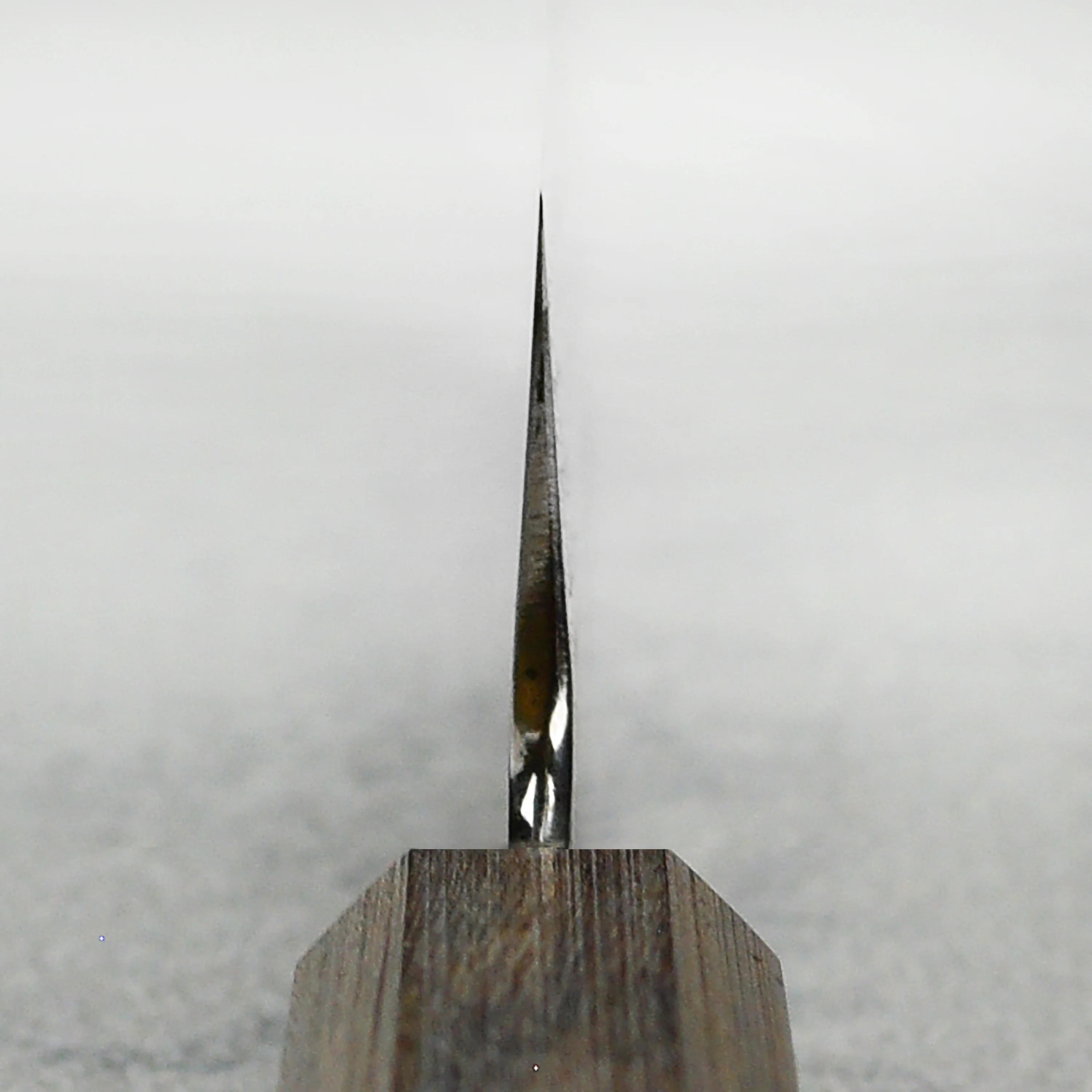 Nakagawa Ginsan 8.25" Kiritsuke - Image 5
