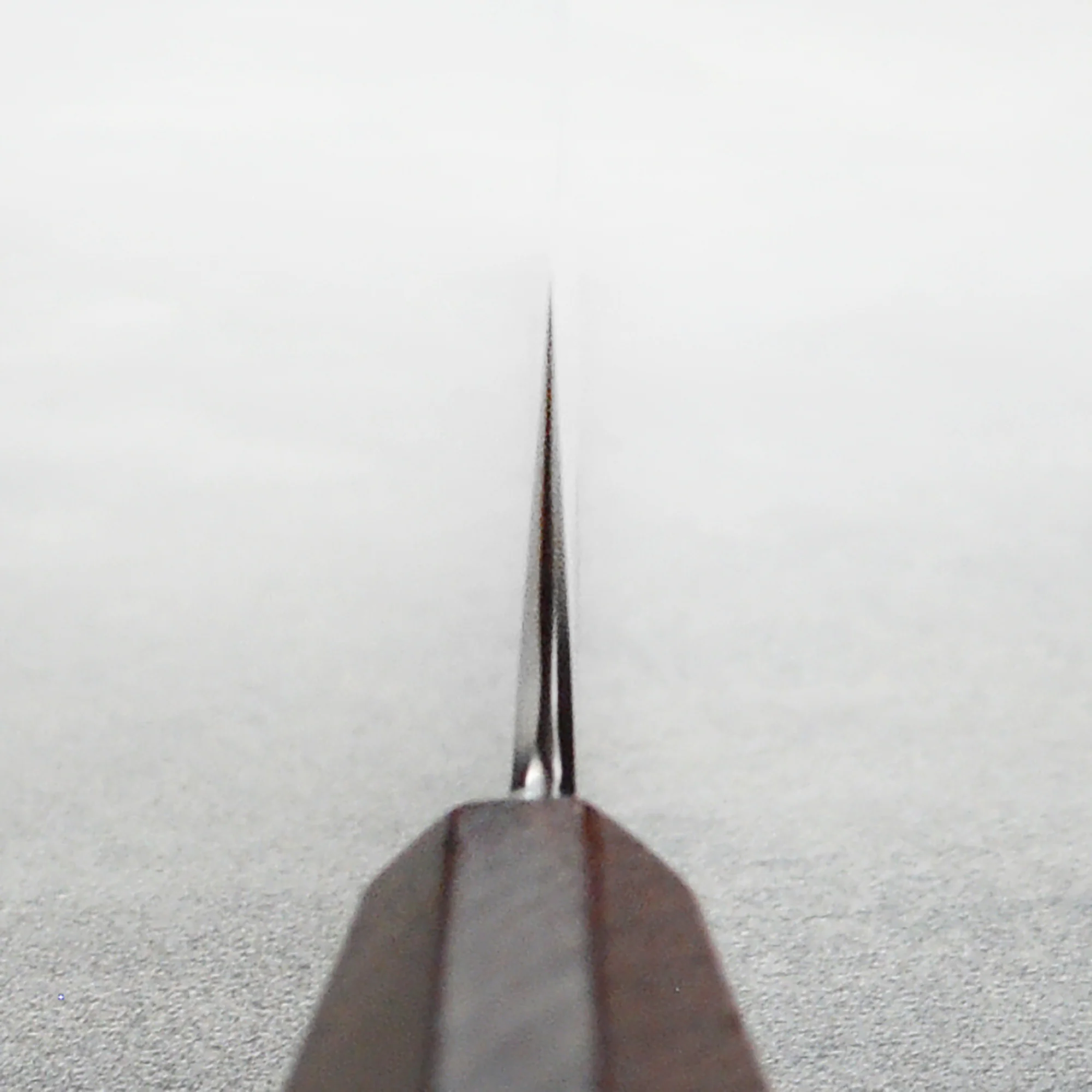 Ryusen Blazen Ryu Wa SG2 10.25" Sujihiki - Image 5
