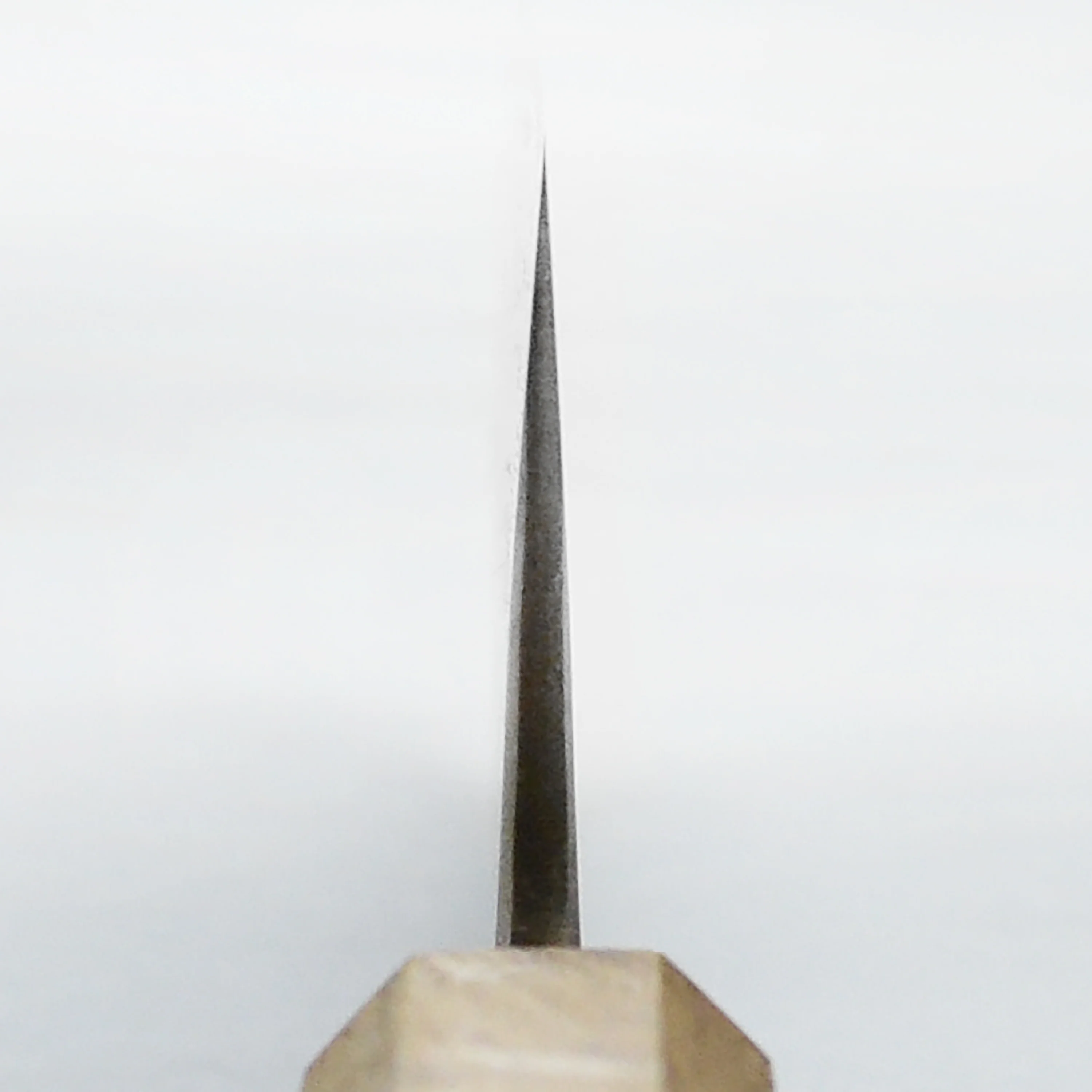 Sakoda Shirogami #2 Stainless Clad 8.25" Gyuto - Image 9
