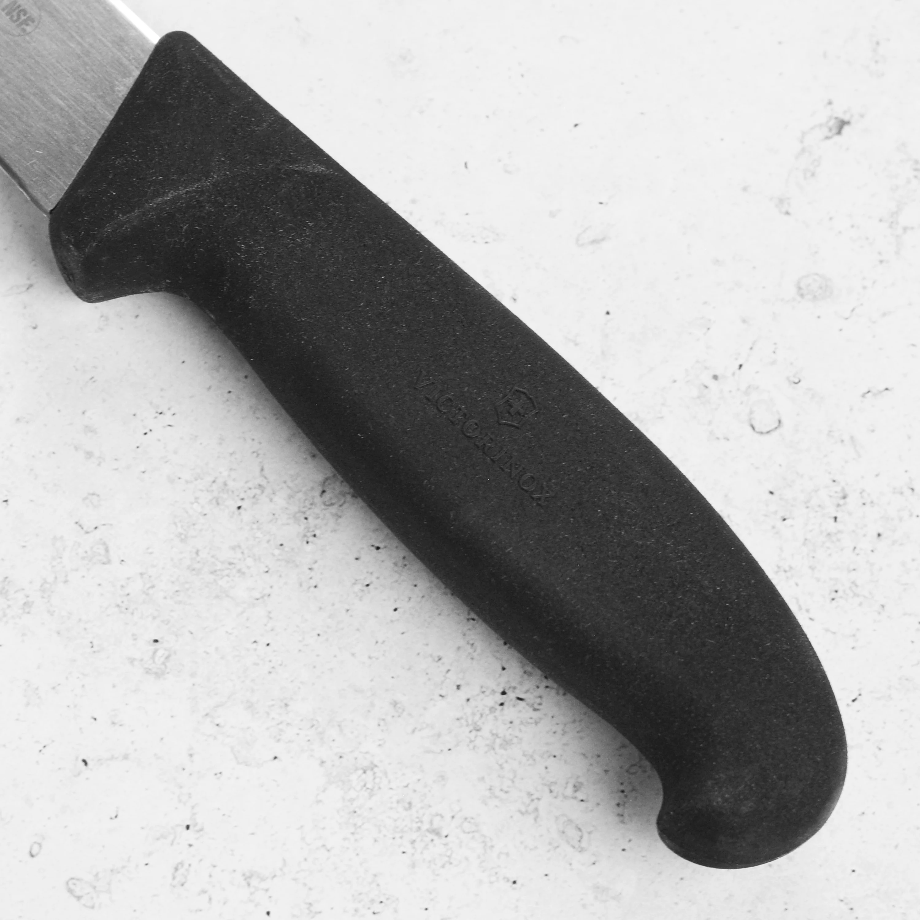Victorinox Fibrox 8" Breaking Knife - Image 6