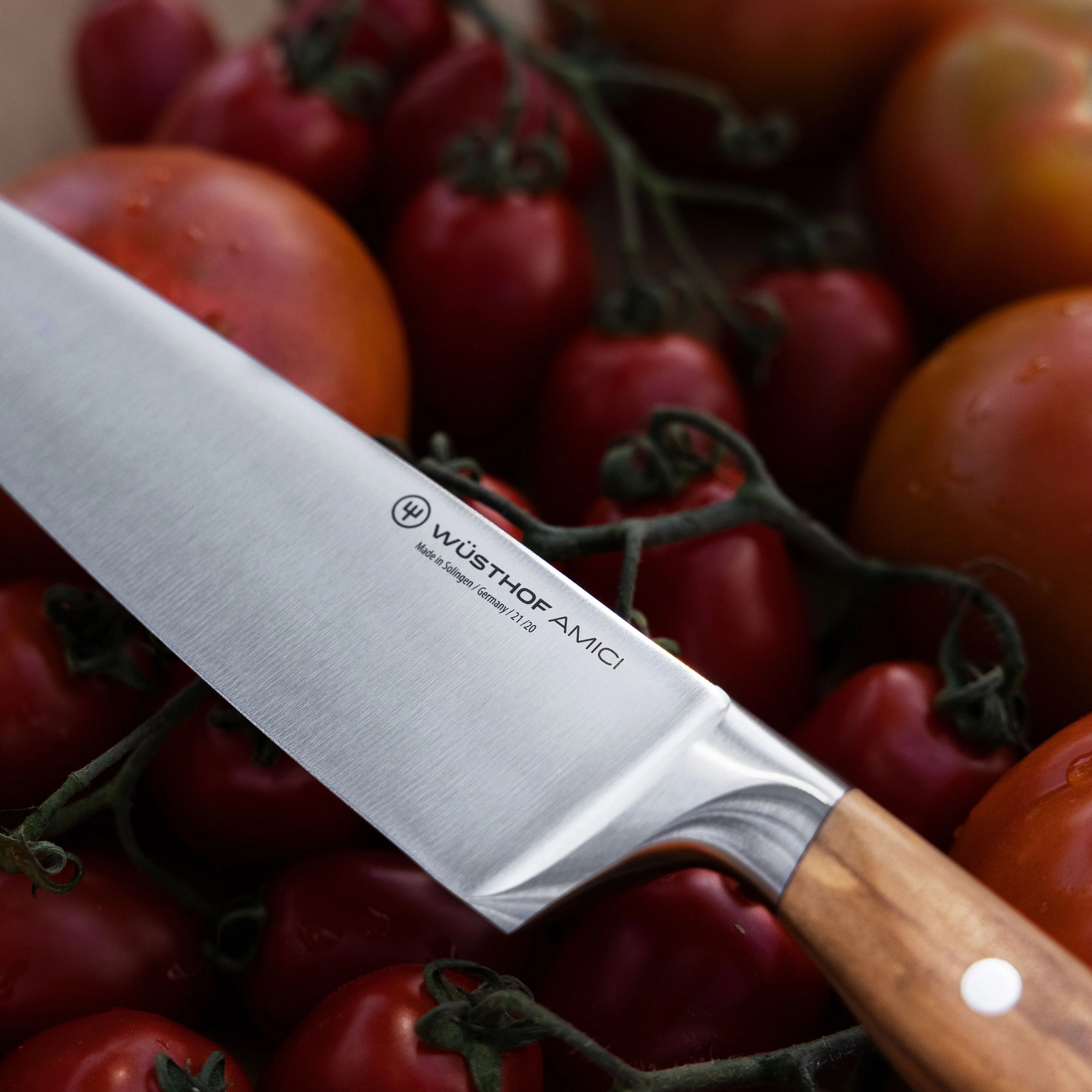 Wusthof Amici 8" Chef's Knife - Image 8