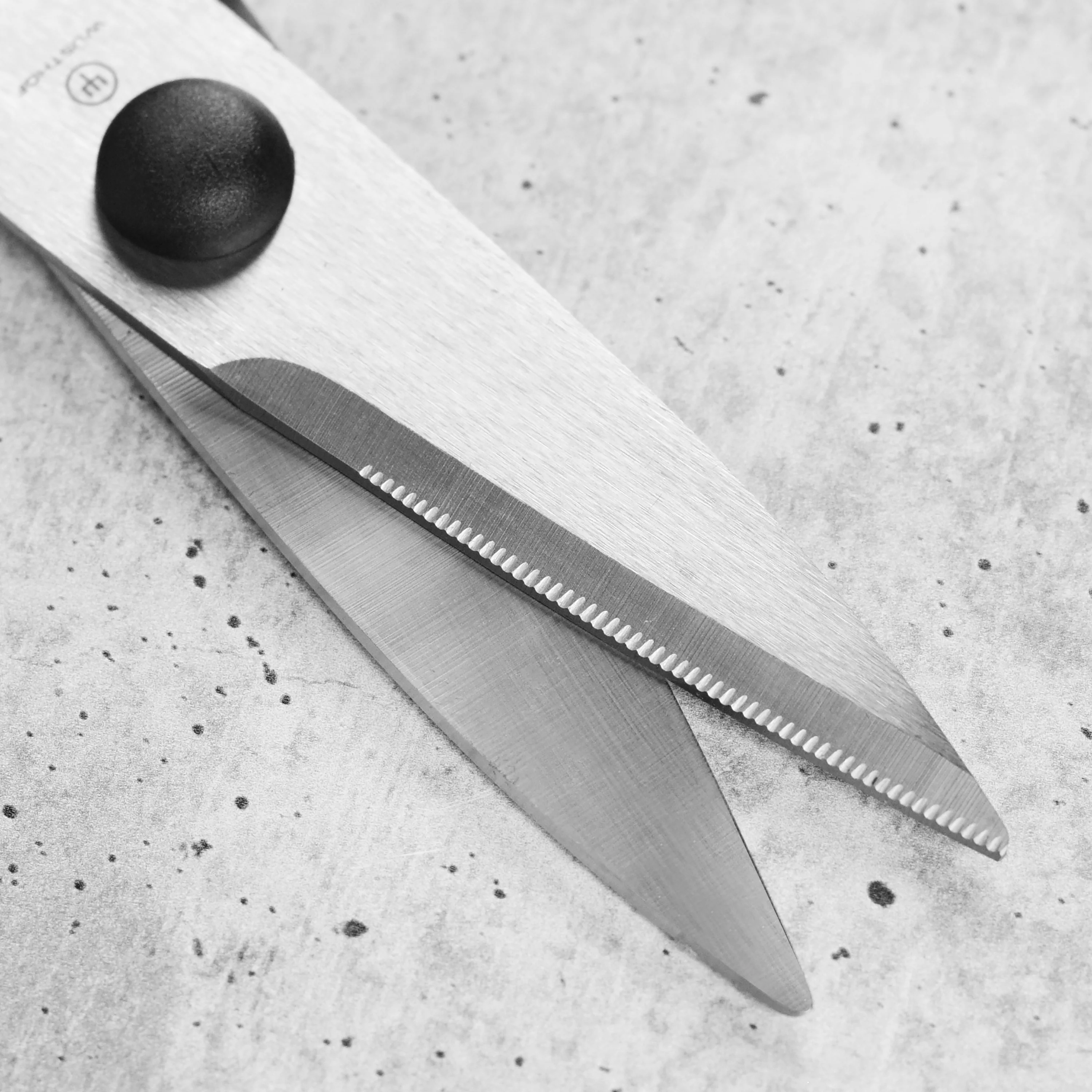 Wusthof Come-Apart Kitchen Shears - Image 7