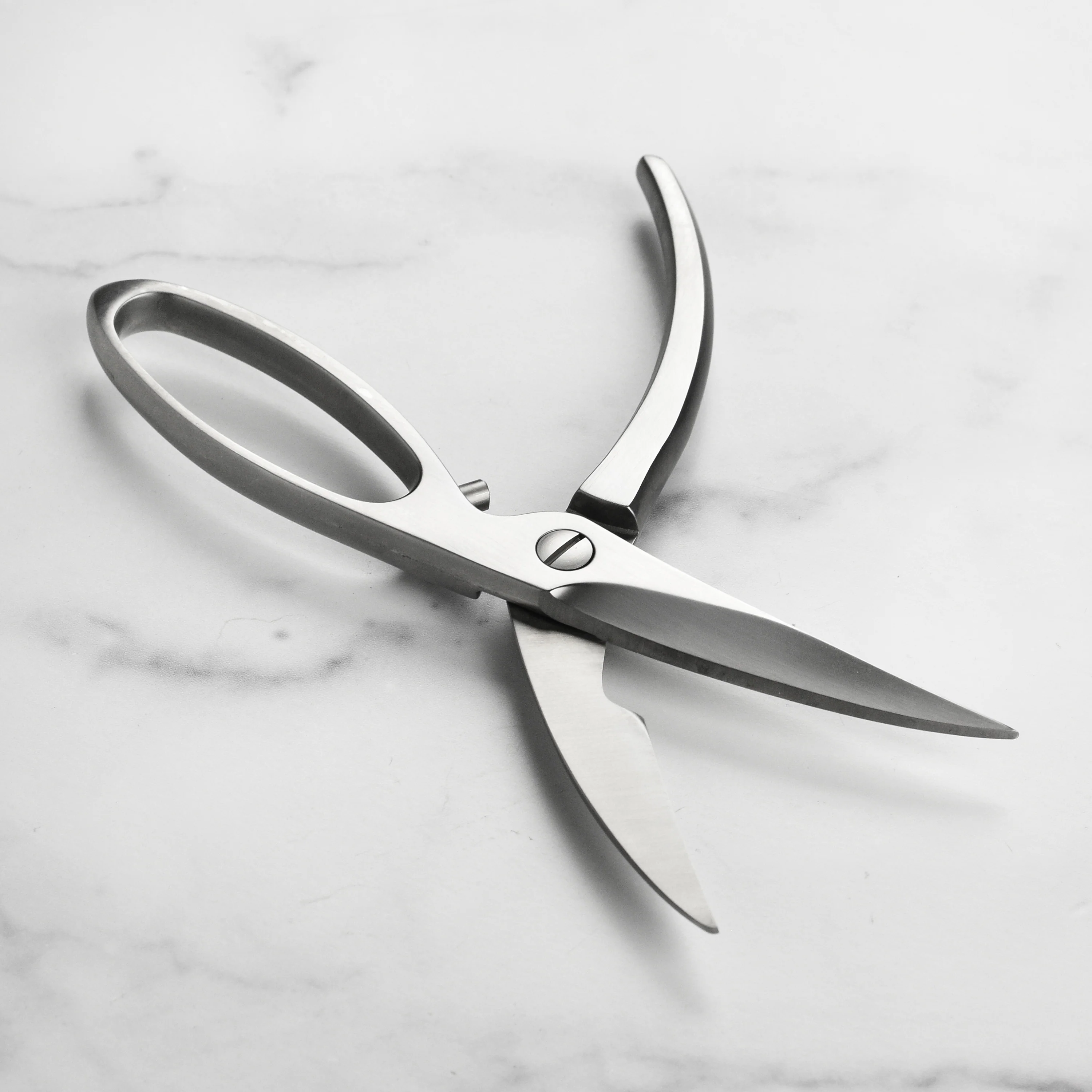 Zwilling Twin Stainless Steel Take-Apart Poultry Shears - Image 7